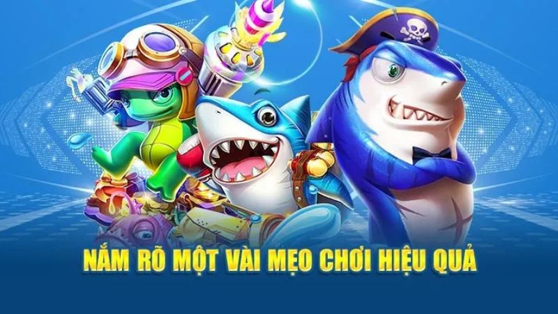 Hướng dẫn một vài mẹo chinh phục thần tài bắn cá
